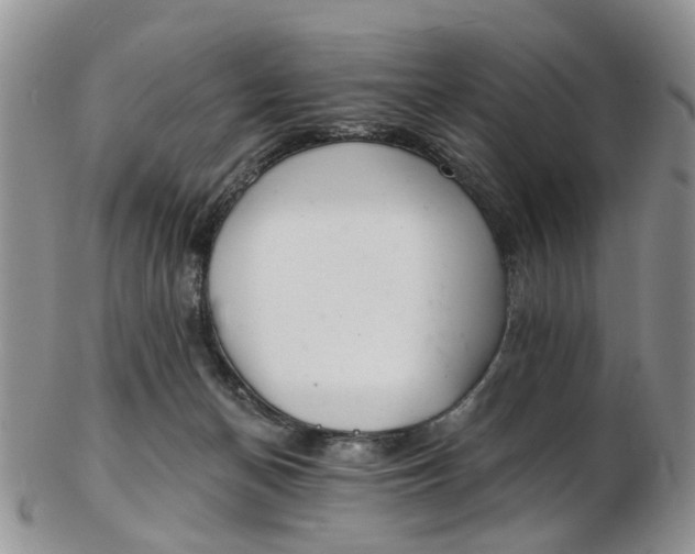 X0000103170174200809051730