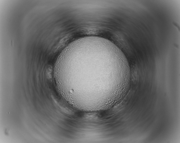 X0000103170175200809051730