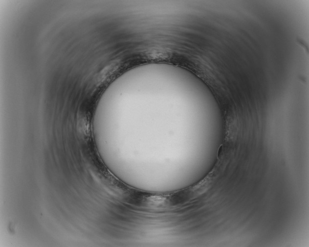 X0000103170176200809051730