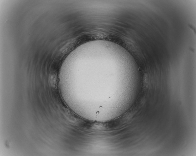 X0000103170177200809051730