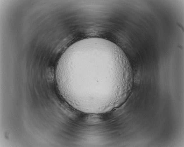 X0000103170179200809051730