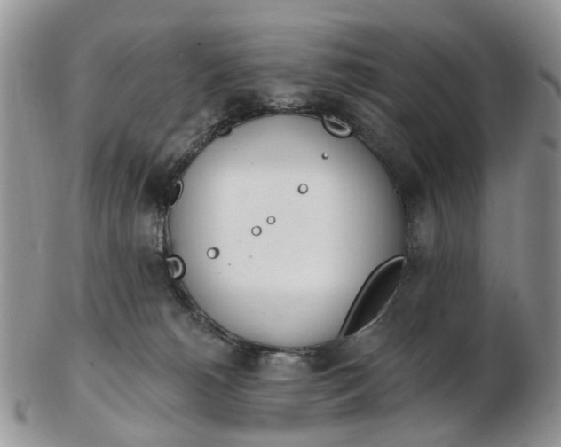 X0000103170180200809051730