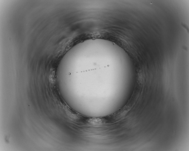 X0000103170181200809051730