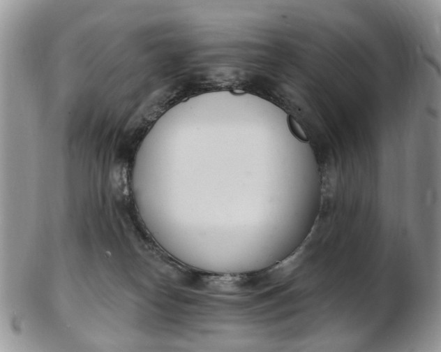 X0000103170182200809051730