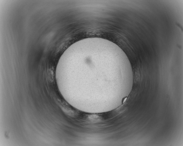 X0000103170183200809051730