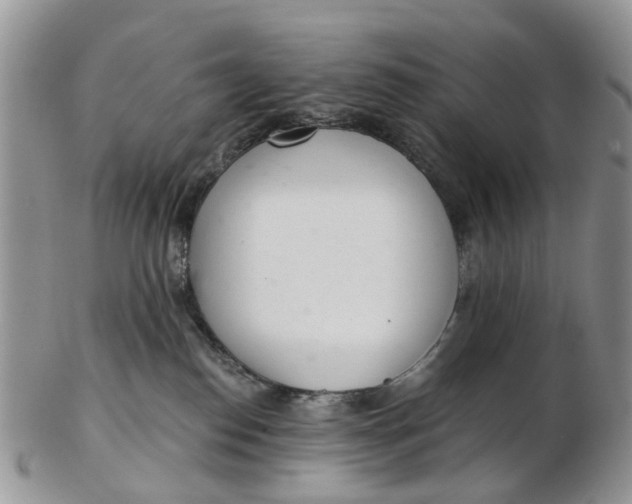 X0000103170186200809051730