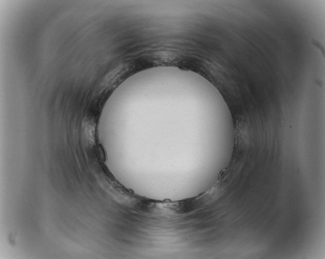 X0000103170188200809051730