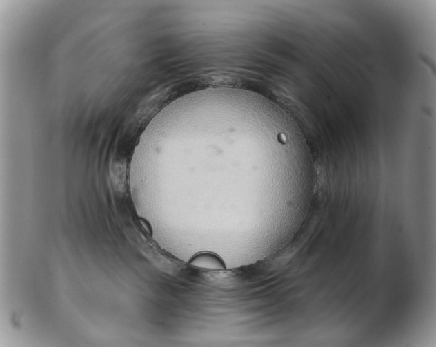 X0000103170189200809051730