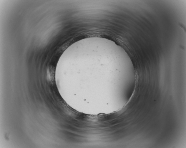 X0000103170190200809051730