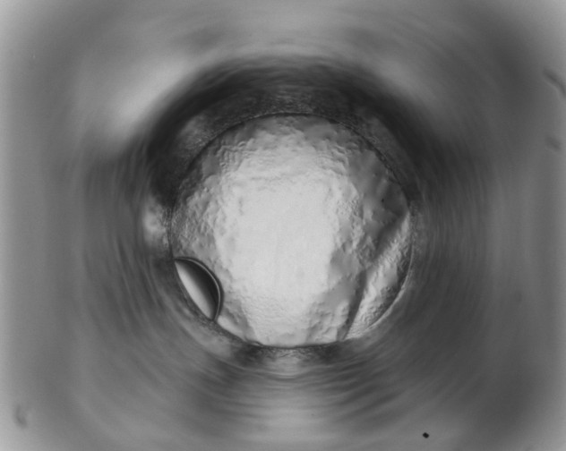 X0000103170191200809051730