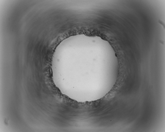 X0000103170192200809051730