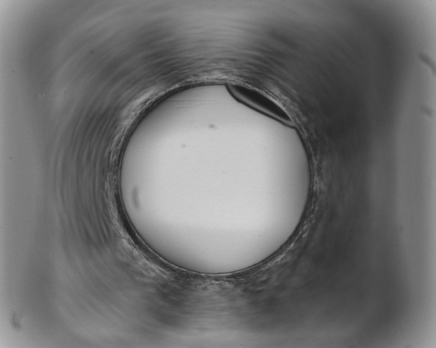 X0000103170193200809051729