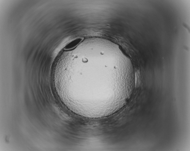 X0000103170195200809051729