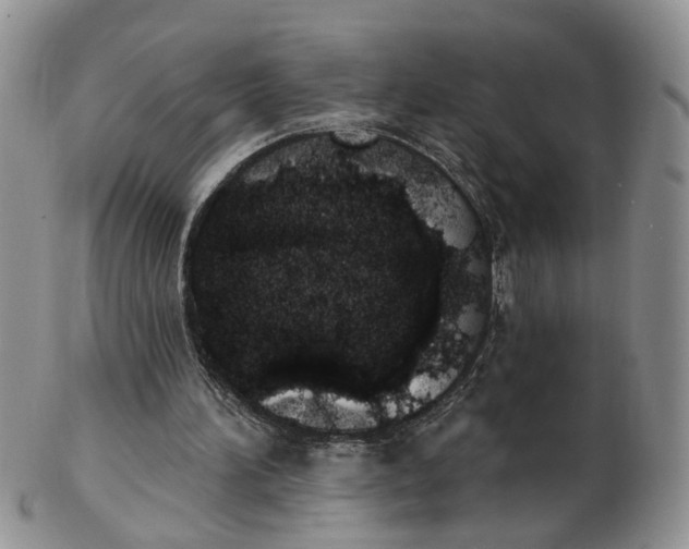 X0000103170196200809051729