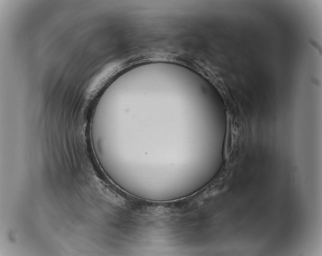 X0000103170197200809051729