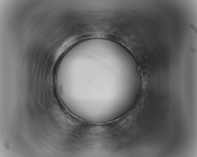 X0000103170198200809051729