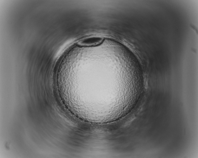 X0000103170199200809051729