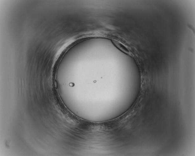 X0000103170200200809051729