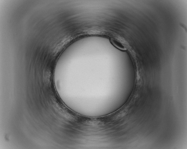 X0000103170201200809051729