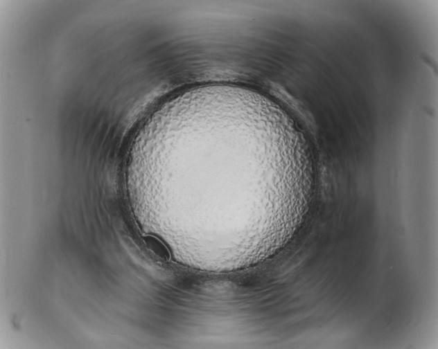 X0000103170203200809051729