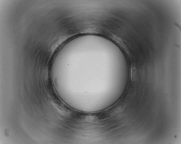 X0000103170204200809051729