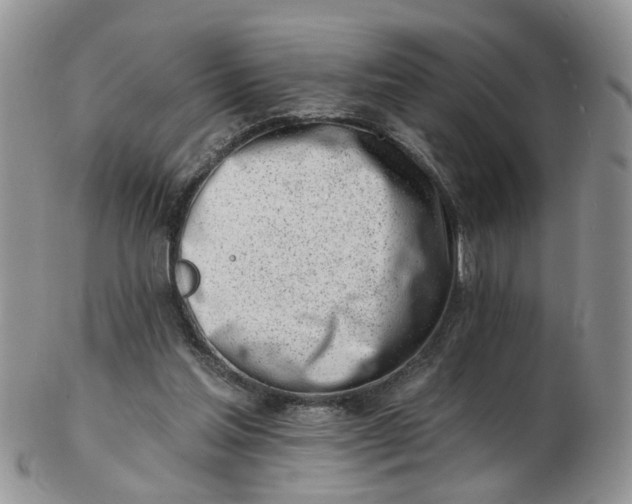 X0000103170205200809051729