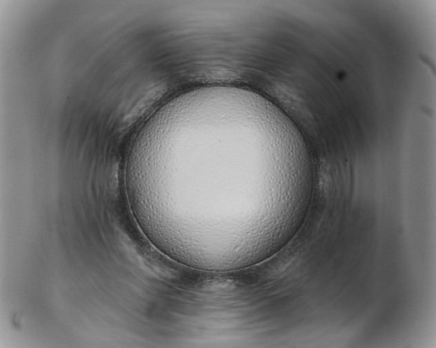 X0000103170206200809051729