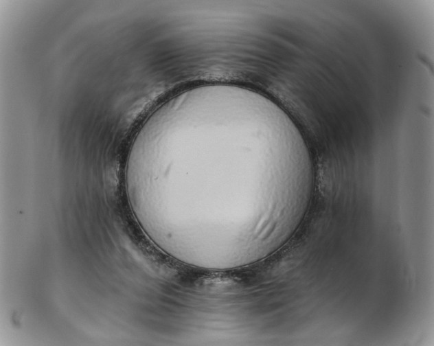 X0000103170208200809051729