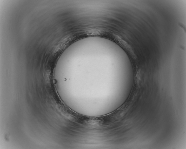 X0000103170209200809051729