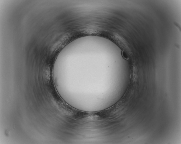 X0000103170210200809051729