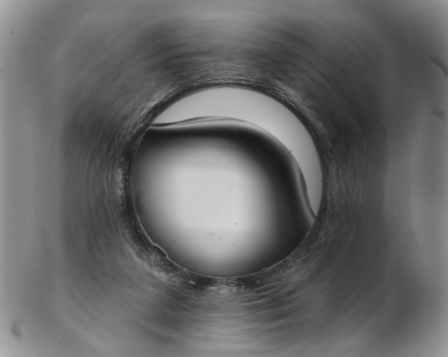 X0000103170211200809051729