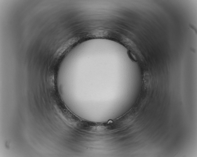 X0000103170212200809051729