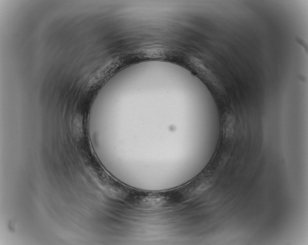 X0000103170213200809051729