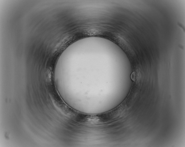 X0000103170214200809051729