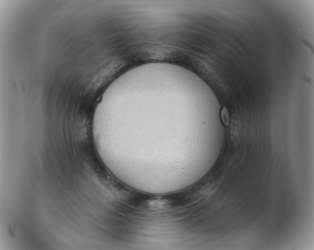 X0000103170216200809051729