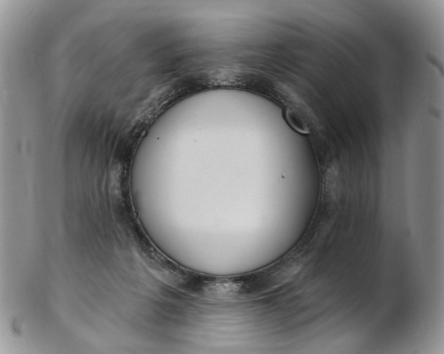 X0000103170217200809051729