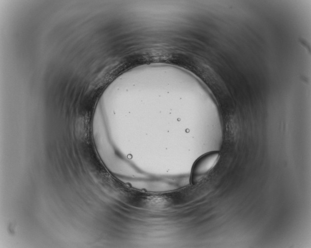 X0000103170218200809051729