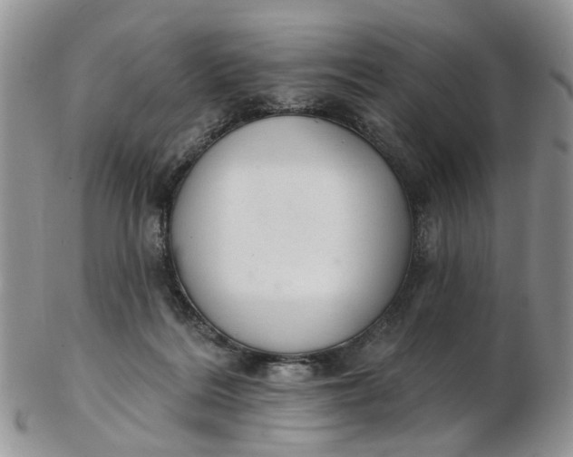 X0000103170220200809051729