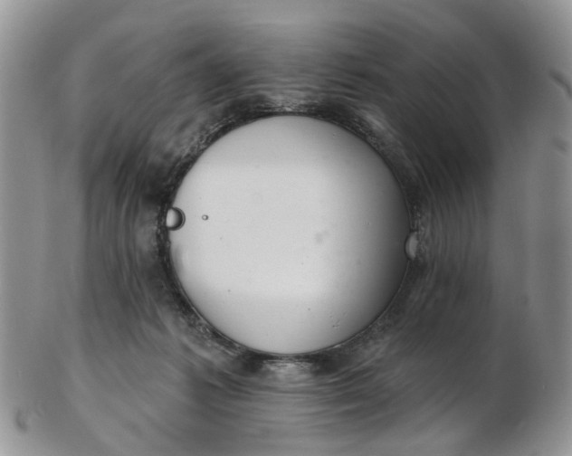 X0000103170221200809051729