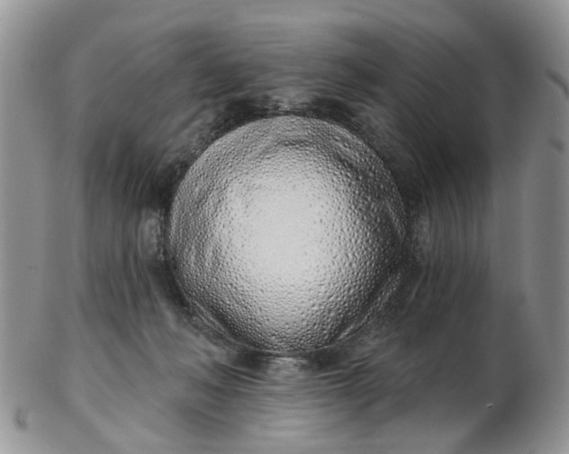 X0000103170222200809051729