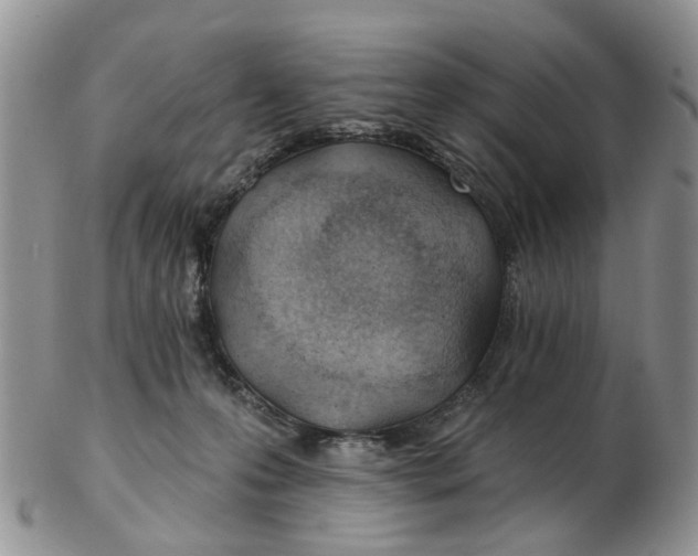 X0000103170223200809051729