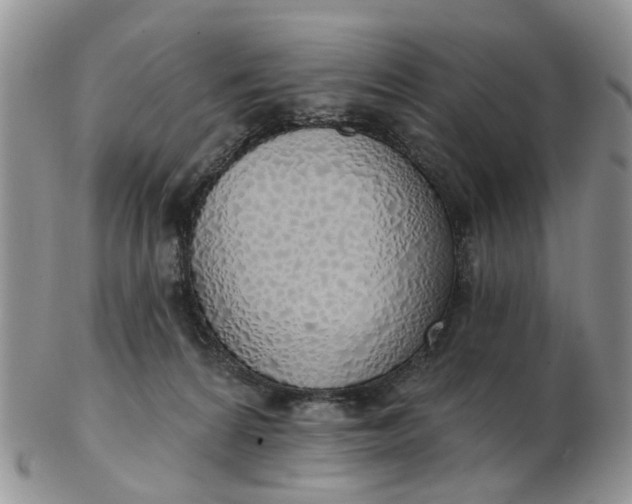 X0000103170224200809051729