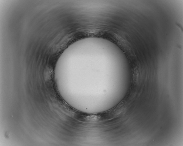 X0000103170225200809051729