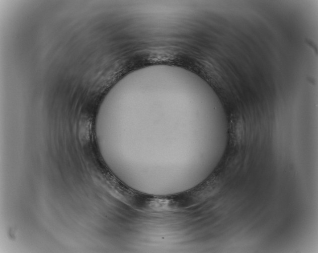 X0000103170227200809051729