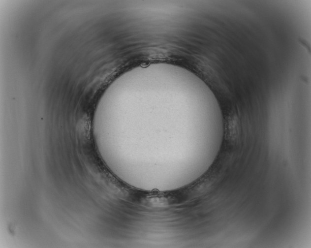 X0000103170228200809051729