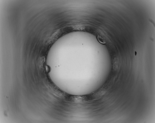 X0000103170229200809051729