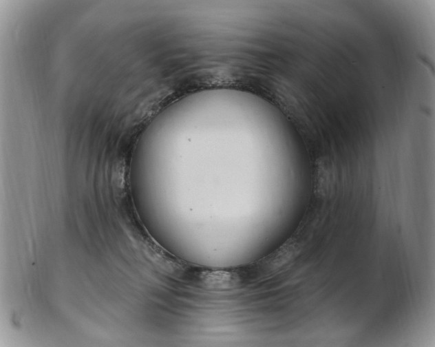 X0000103170230200809051729