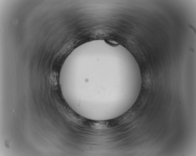 X0000103170232200809051729