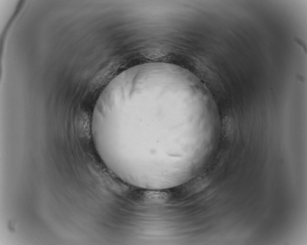 X0000103170234200809051729