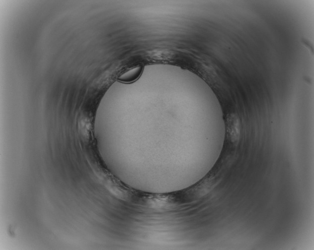 X0000103170235200809051729